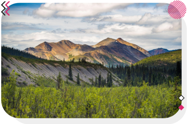 Mountains and trees in the Northwest Territories